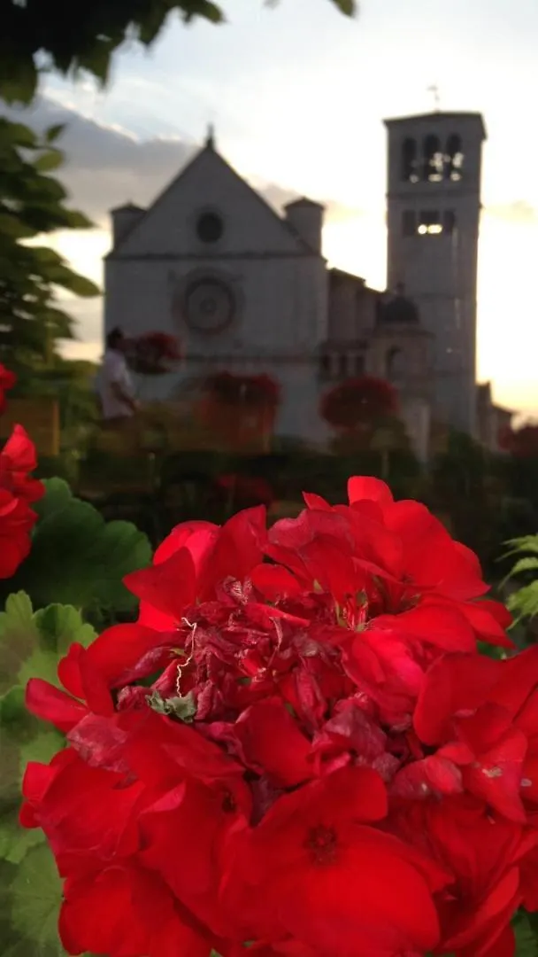 Le Dimore Arcangelo Giuseppe Assisi 0*,  Italy
